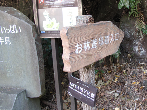 20190118hike (26)